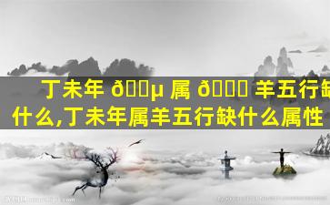 丁未年 🌵 属 🐞 羊五行缺什么,丁未年属羊五行缺什么属性